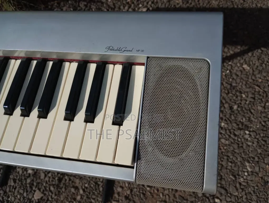 Yamaha Portable Grand NP- 30 With an Adapter