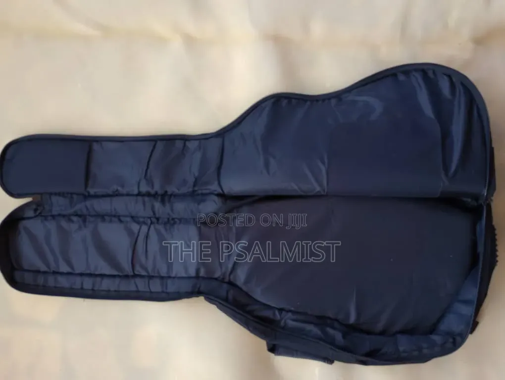 Fender Stragg & GAk Bags for Lead Bass and Acoustic Padded Bag S