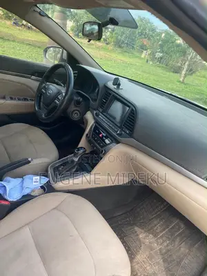 Hyundai Elantra 2017 Gray