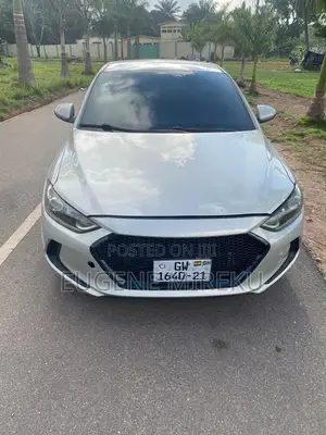 Hyundai Elantra 2017 Gray