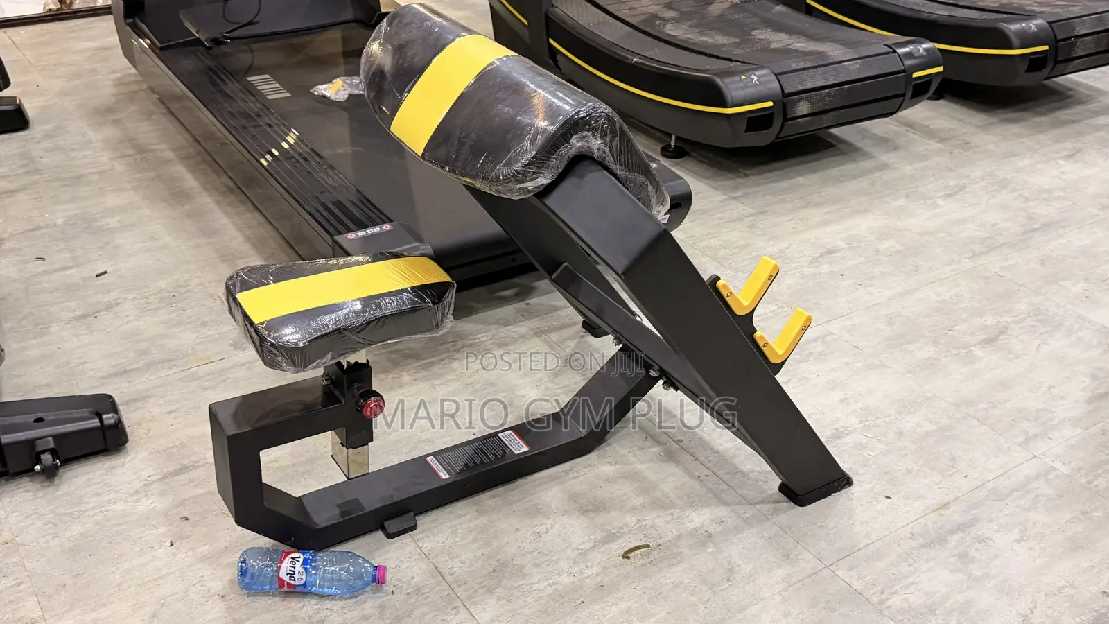 Curl Bench Machine