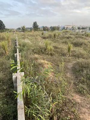 Plots of Land (Fenced)for Sale Doboro Near Blue Skies Company Limited
