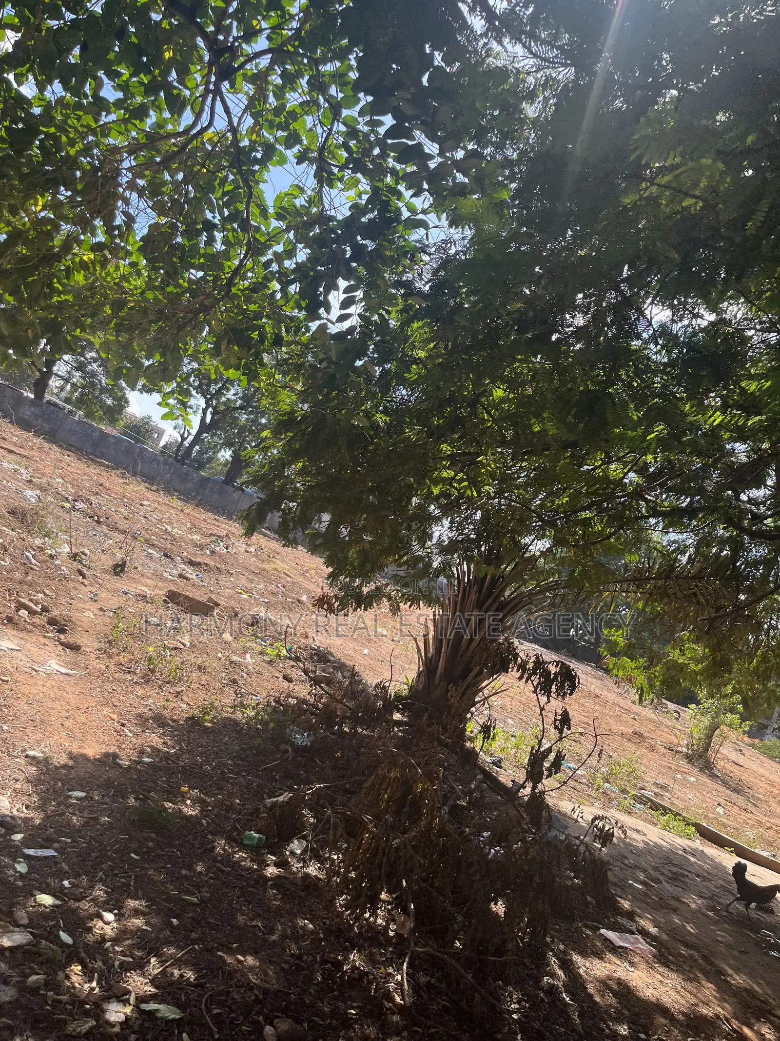 4plots Forsale -Airport
