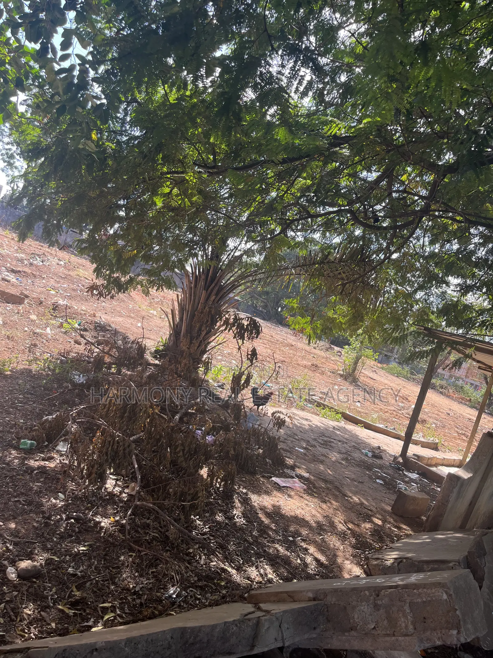 4plots Forsale -Airport