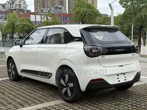New Dongfeng Nammi 01 42.3 kWh 430 Air 2025 White