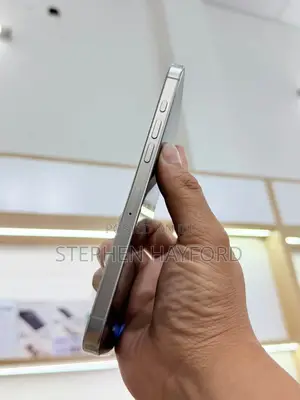 Apple iPhone 15 Pro Max 256 GB Silver