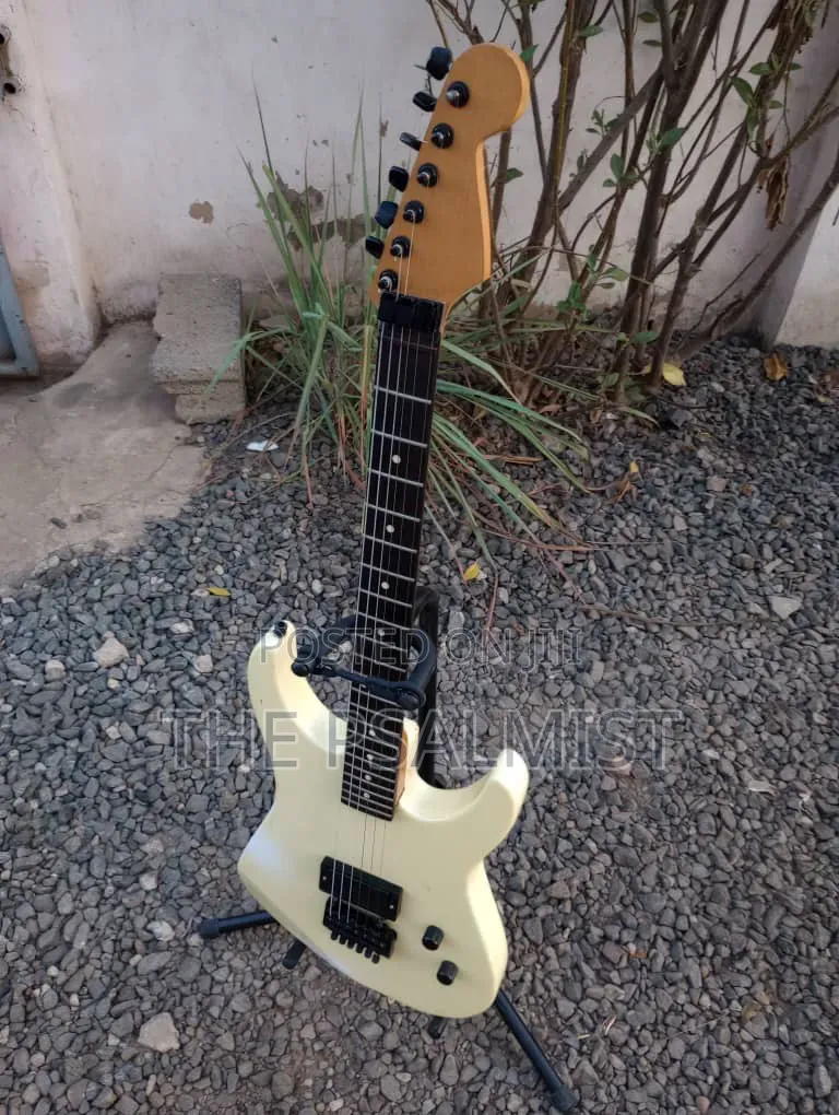 Heavily Modified or Customized Superstrat Guitar
