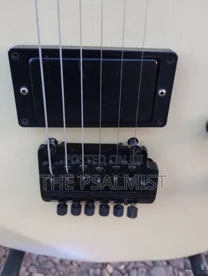 Heavily Modified or Customized Superstrat Guitar