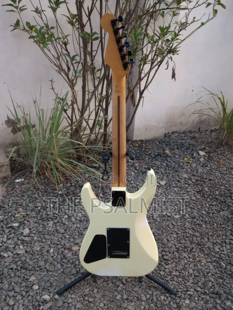 Heavily Modified or Customized Superstrat Guitar