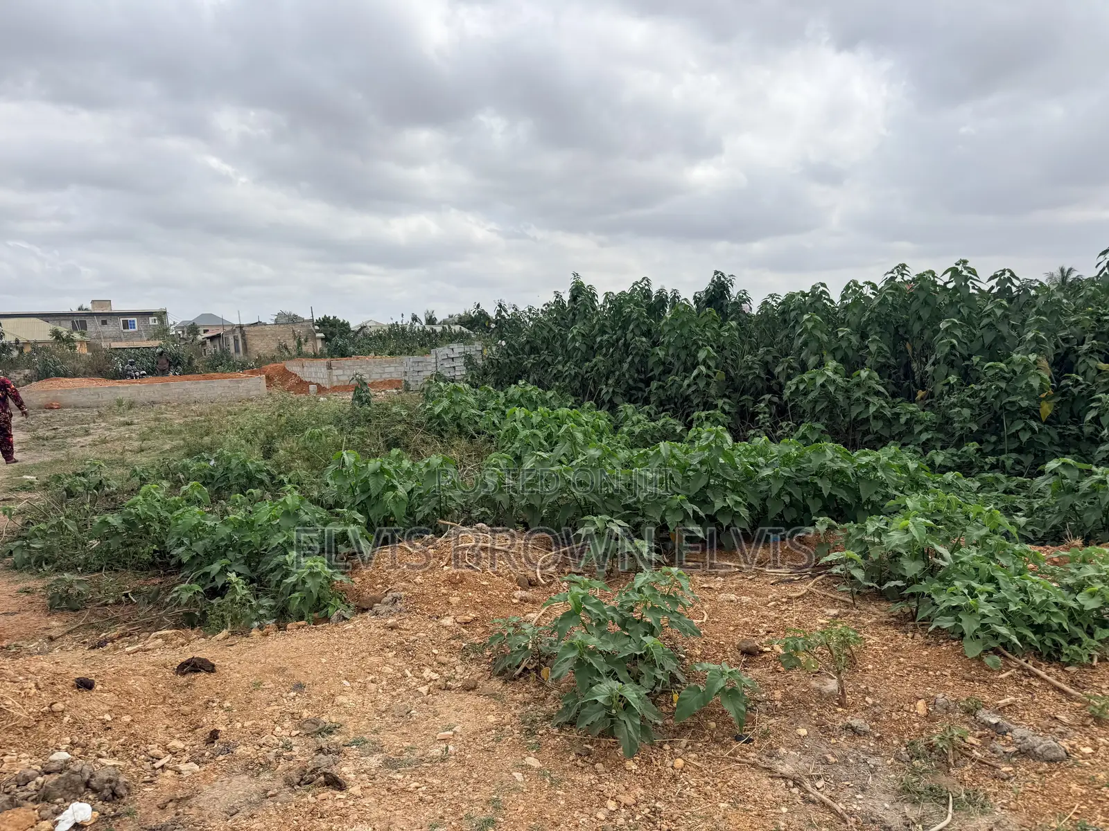 One Plot of Land for Sale at Katamansu Promise Land
