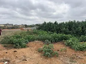One Plot of Land for Sale at Katamansu Promise Land