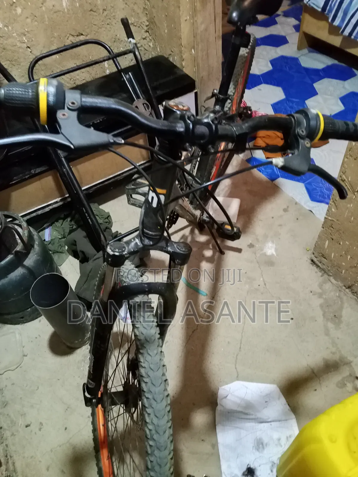 Adult Bicycle