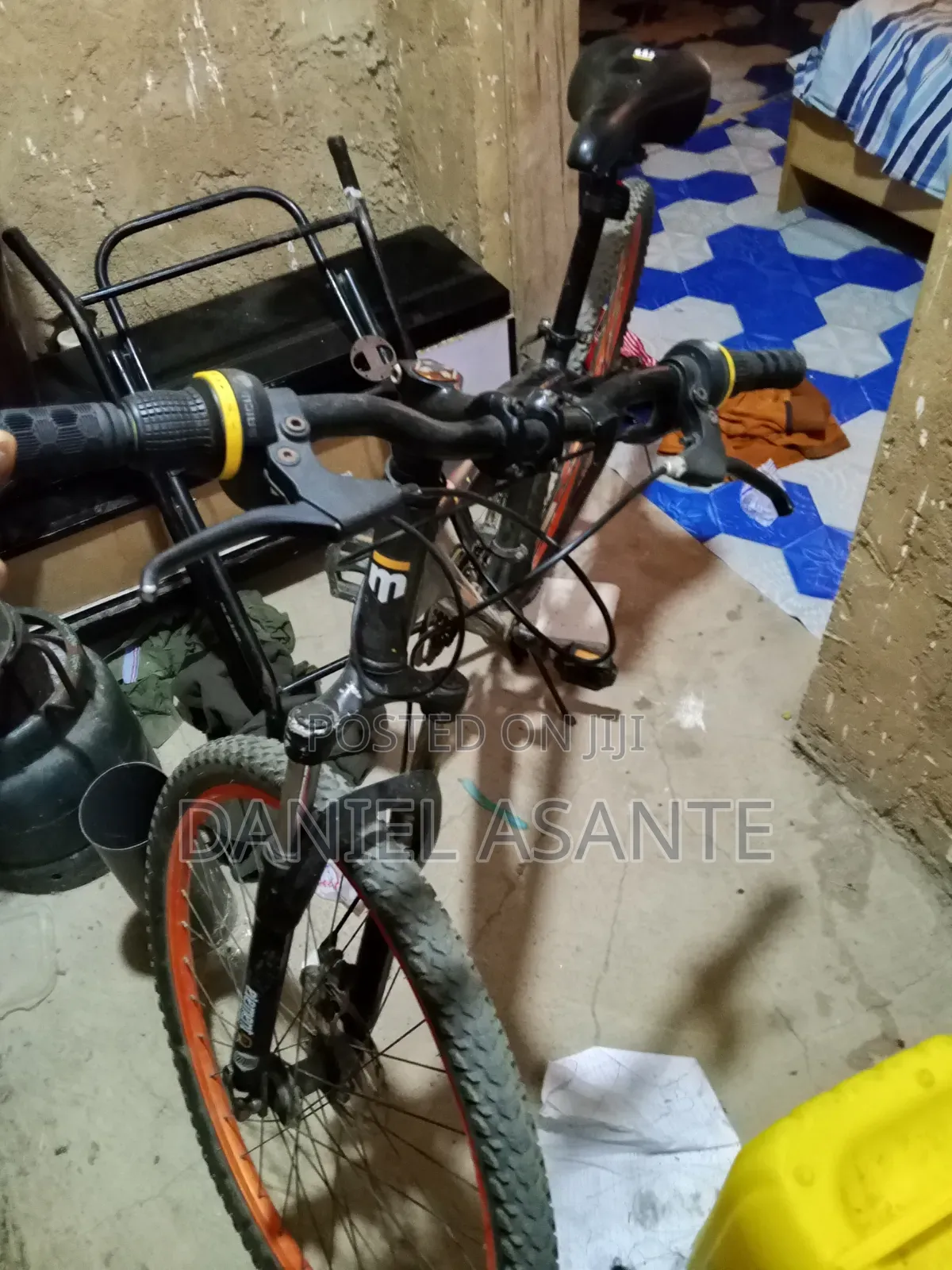 Adult Bicycle