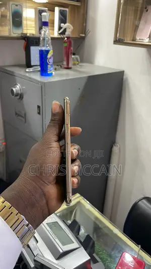 Apple iPhone XS Max 512 GB Rose Gold