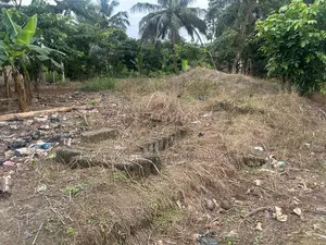 A Half Plot 50*50 at Nkawkaw Kumasi Road