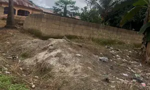 A Half Plot 50*50 at Nkawkaw Kumasi Road