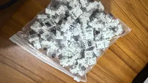 Mechanical Keyboard Switches (100pcs)