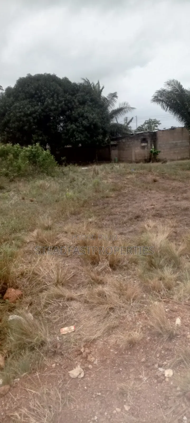 2 Plot of Land
