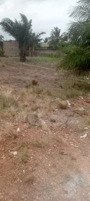 2 Plot of Land