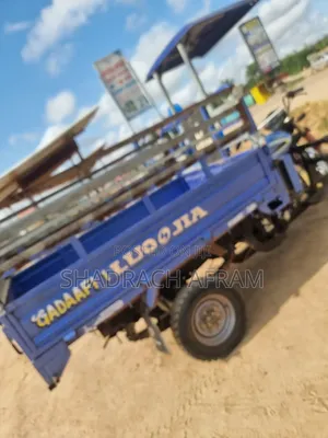 Tricycle 2025 Blue