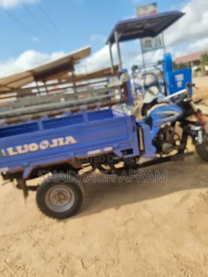 Tricycle 2025 Blue