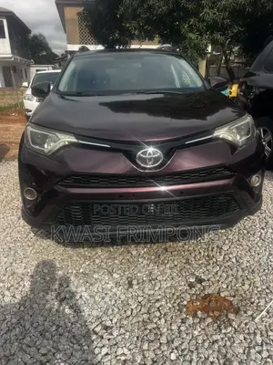 Toyota RAV4 2018 Brown