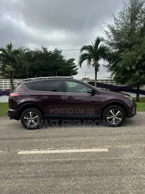 Toyota RAV4 2018 Brown