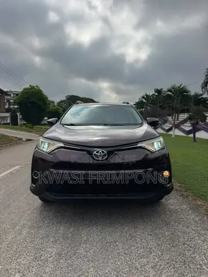 Toyota RAV4 2018 Brown