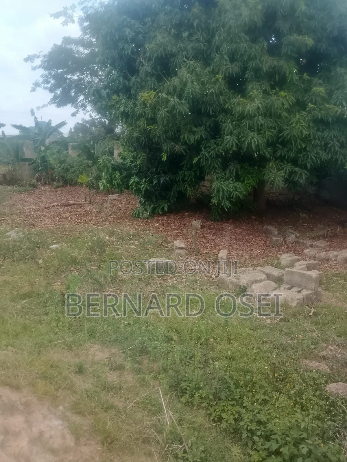 Plots and Lands