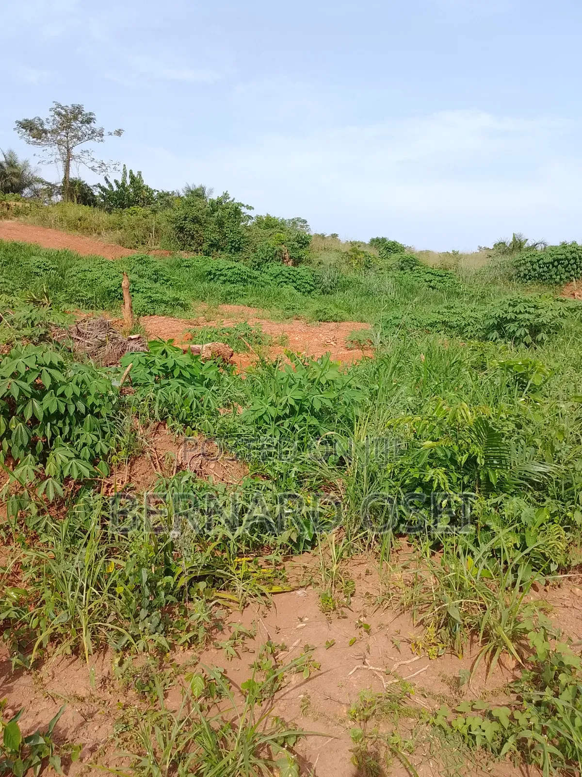 Plots and Lands