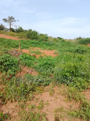 Plots and Lands