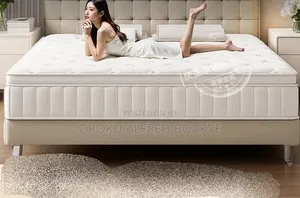 Bed Mattress