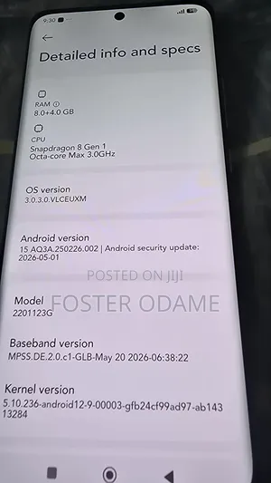 Xiaomi 12 256 GB Silver