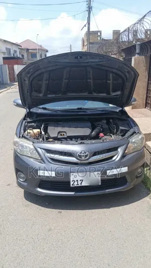 Toyota Corolla LE 4dr Sedan (1.8L 4cyl 4A) 2011 Gray