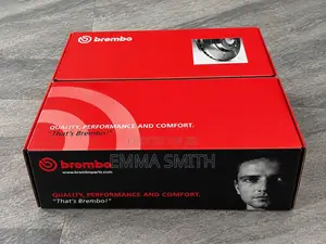 Brembo Original Rear Brake Discs