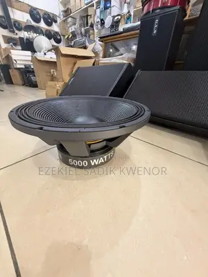 Titanic GLS 5,000watts Speaker 4hms
