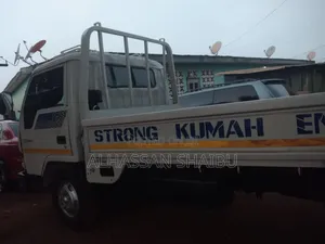 Hyundai Mighty