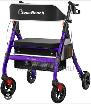 Rollator Walker ( BlessReach)