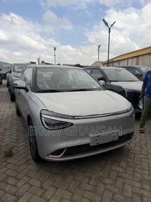 New Dongfeng Nammi 01 2025 Silver