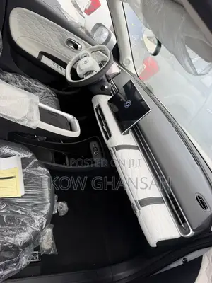 New Dongfeng Nammi 01 2025 Silver