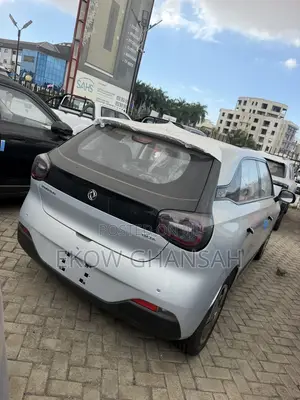 New Dongfeng Nammi 01 2025 Silver