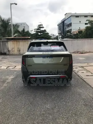 Dongfeng Nammi 06 2026 Green