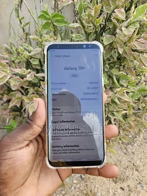Samsung Galaxy S8 Plus 64 GB Gray