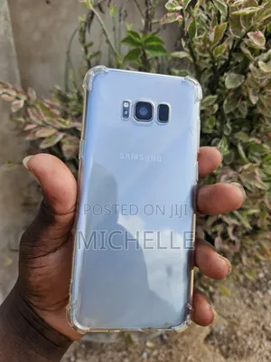 Samsung Galaxy S8 Plus 64 GB Gray