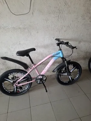Pink 20inch Bicycle