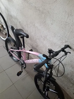 Pink 20inch Bicycle