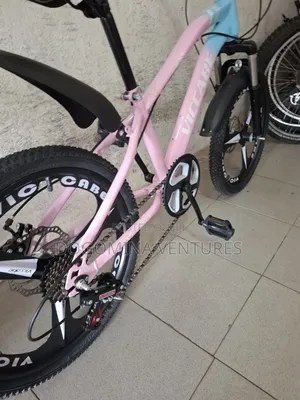 Pink 20inch Bicycle