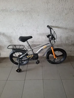 Ash Alloy Rim 16inch Kids Bicycle