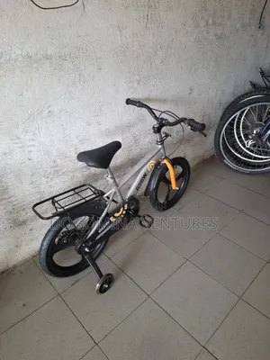 Ash Alloy Rim 16inch Kids Bicycle