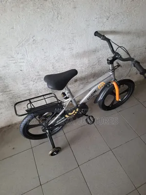 Ash Alloy Rim 16inch Kids Bicycle